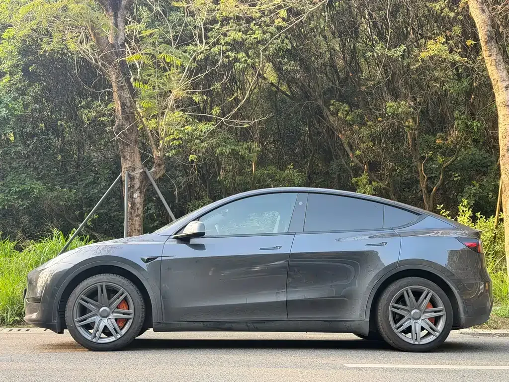 Tesla Model Y — фото 9
