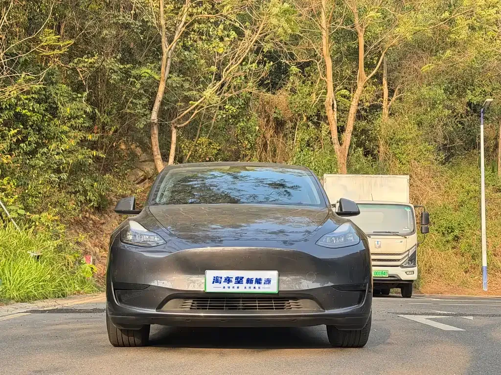 Tesla Model Y — фото 4
