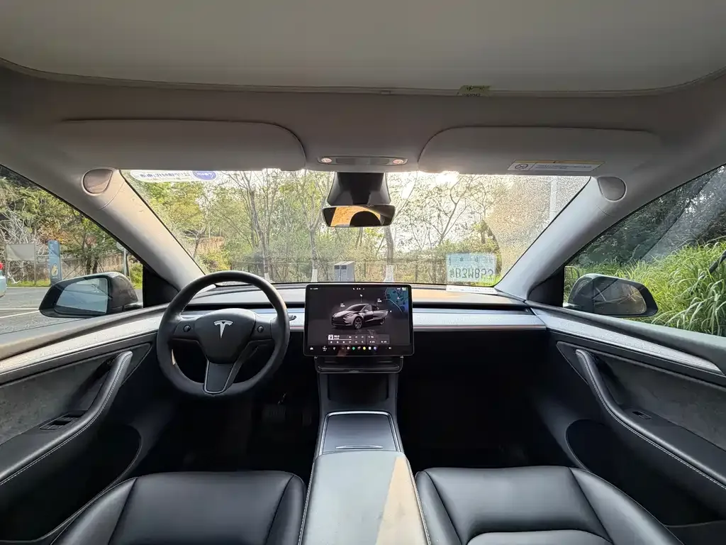 Tesla Model Y — фото 10