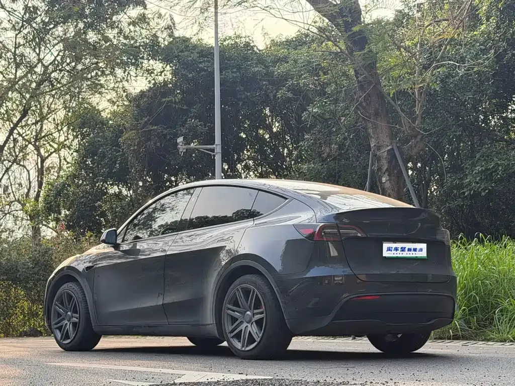 Tesla Model Y — фото 6