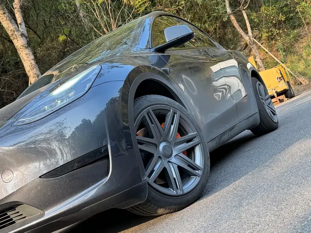 Tesla Model Y — фото 5