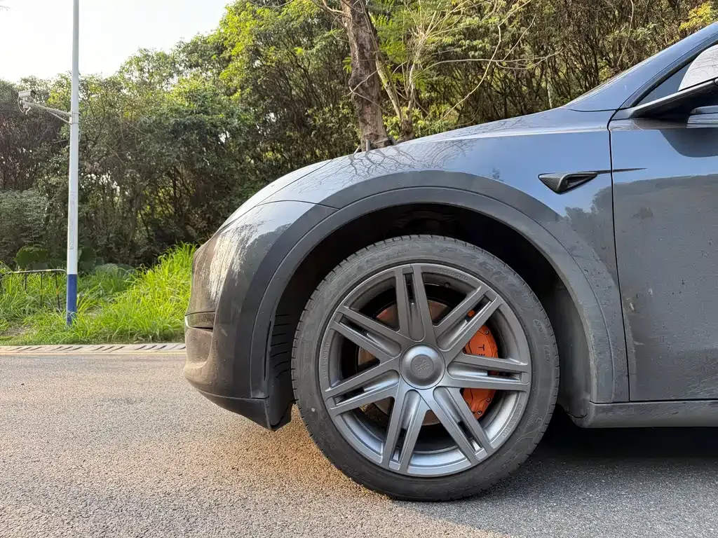 Tesla Model Y — фото 3