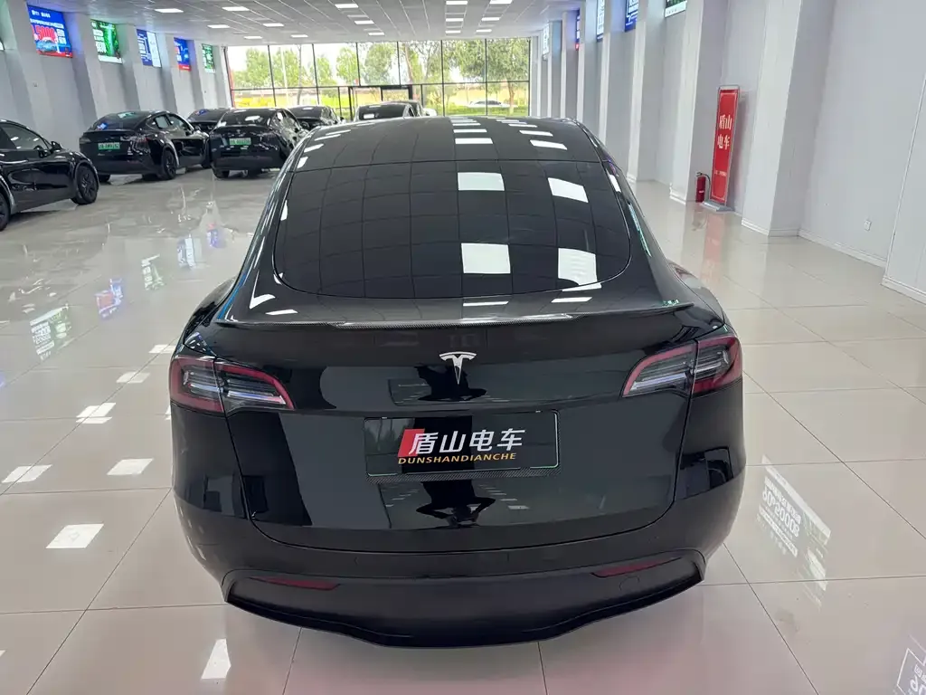 Tesla Model Y — фото 10
