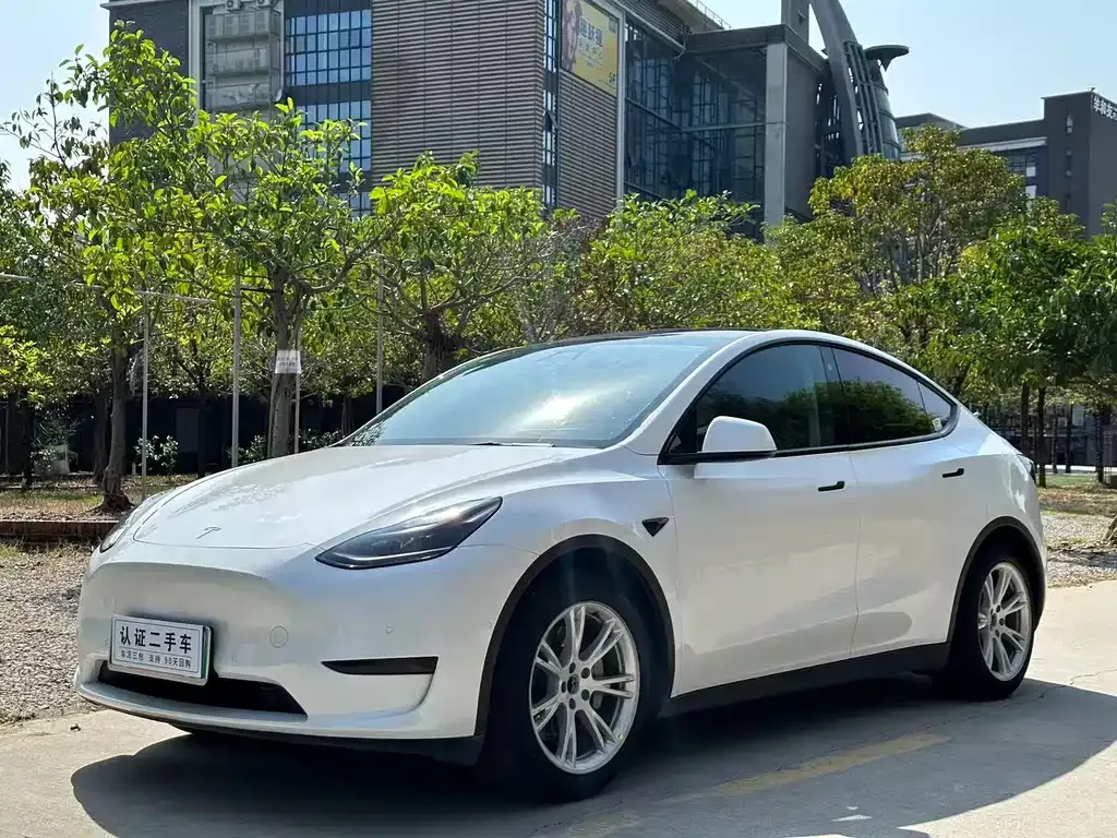 Tesla Model Y — фото 1