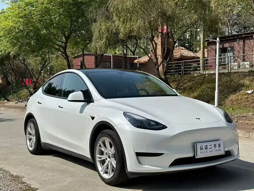 Tesla Model Y — фото 6