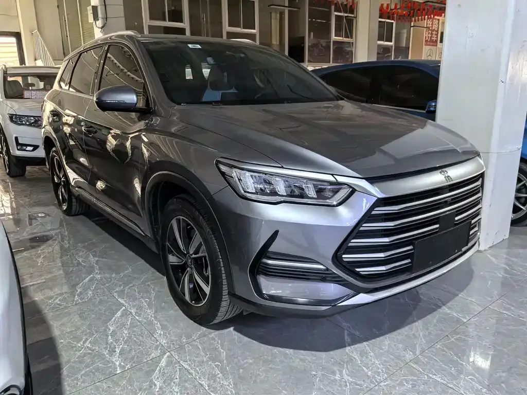 BYD Pro New Energy 2023 из CN, фото 2