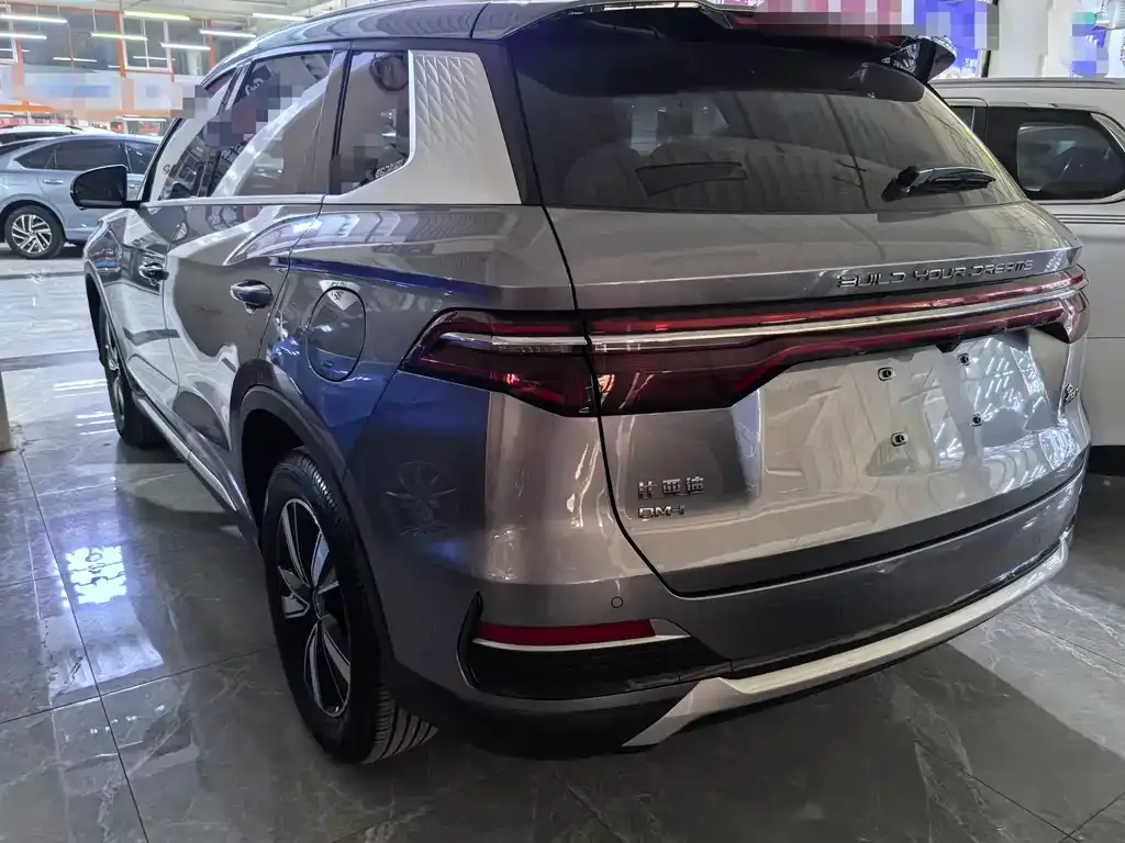 BYD Pro New Energy 2023 из CN, фото 4