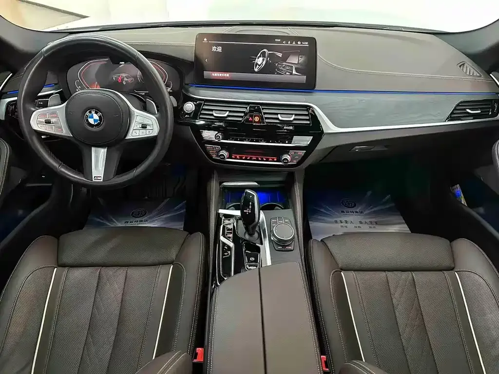 BMW 5 Series 2023 из CN, фото 4