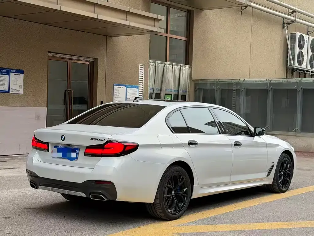 BMW 5 Series 2023 из CN, фото 8