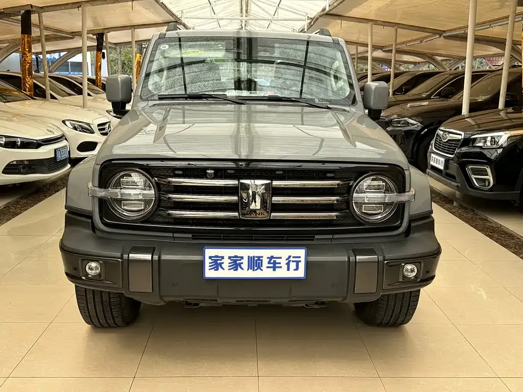 Tank 300 2022 из CN, фото 7