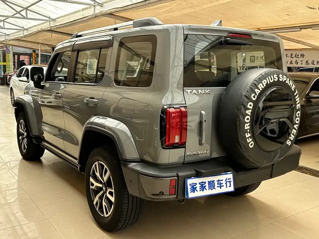 Tank 300 2022 из CN, фото 8