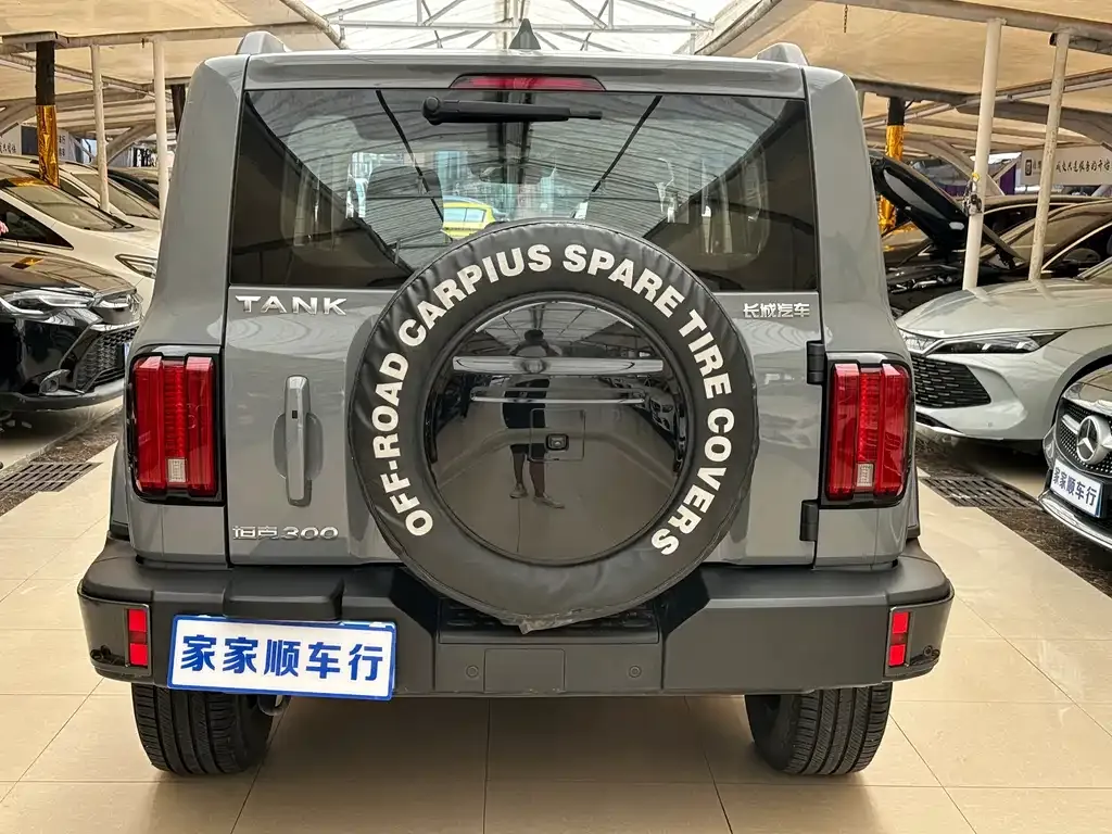 Tank 300 2022 из CN, фото 5