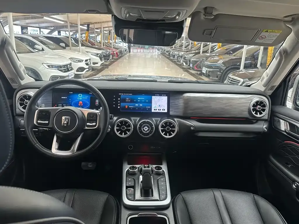 Tank 300 2022 из CN, фото 2