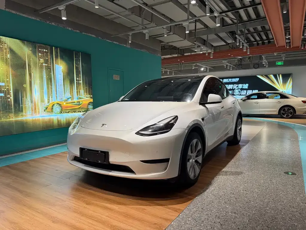 Tesla Model Y — фото 1