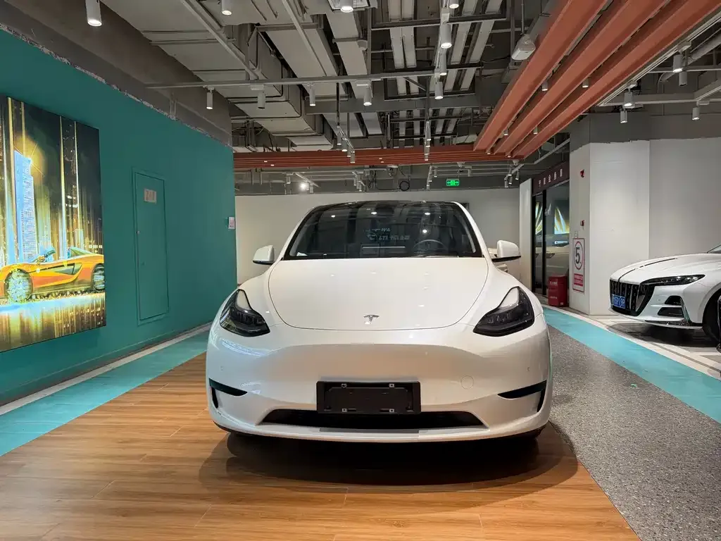 Tesla Model Y — фото 2