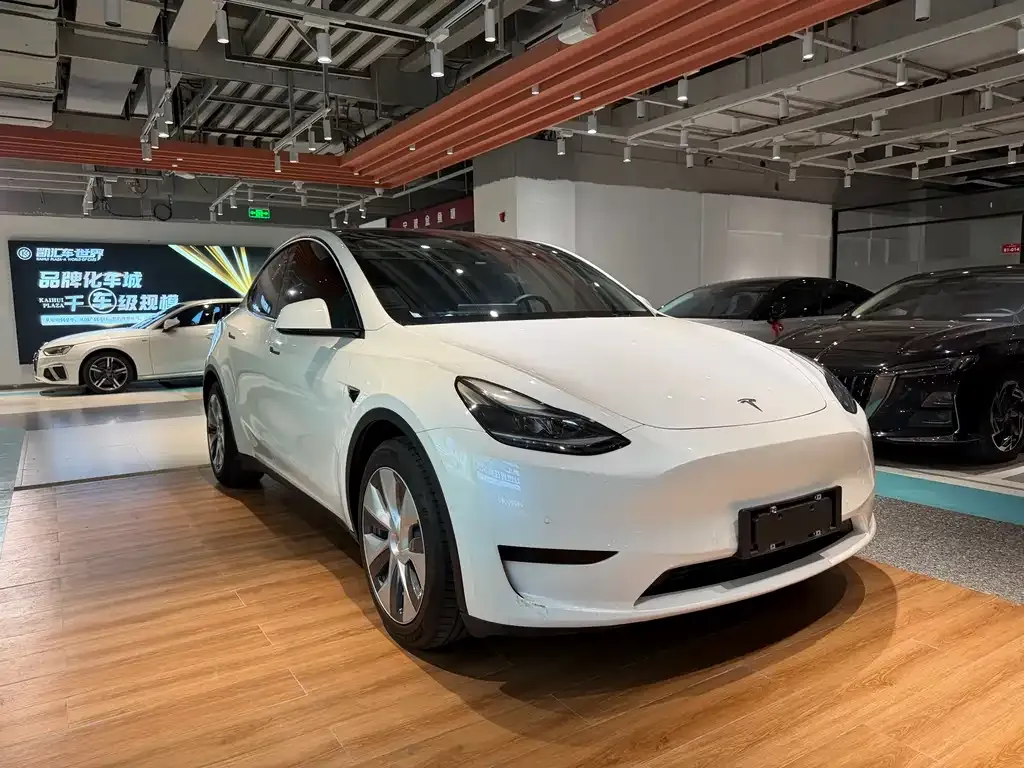 Tesla Model Y — фото 3