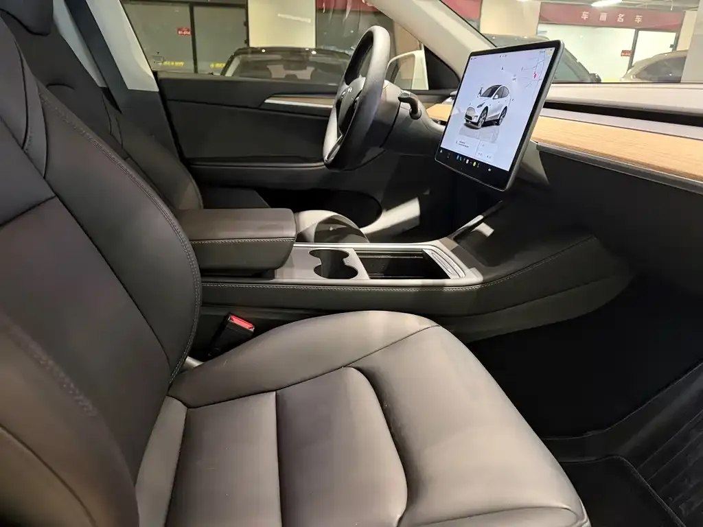 Tesla Model Y — фото 8