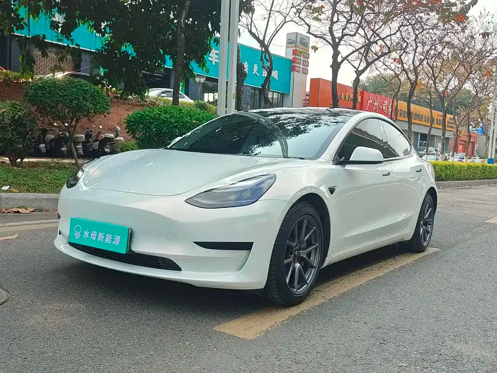 Tesla Model 3 2022 из CN, фото 1