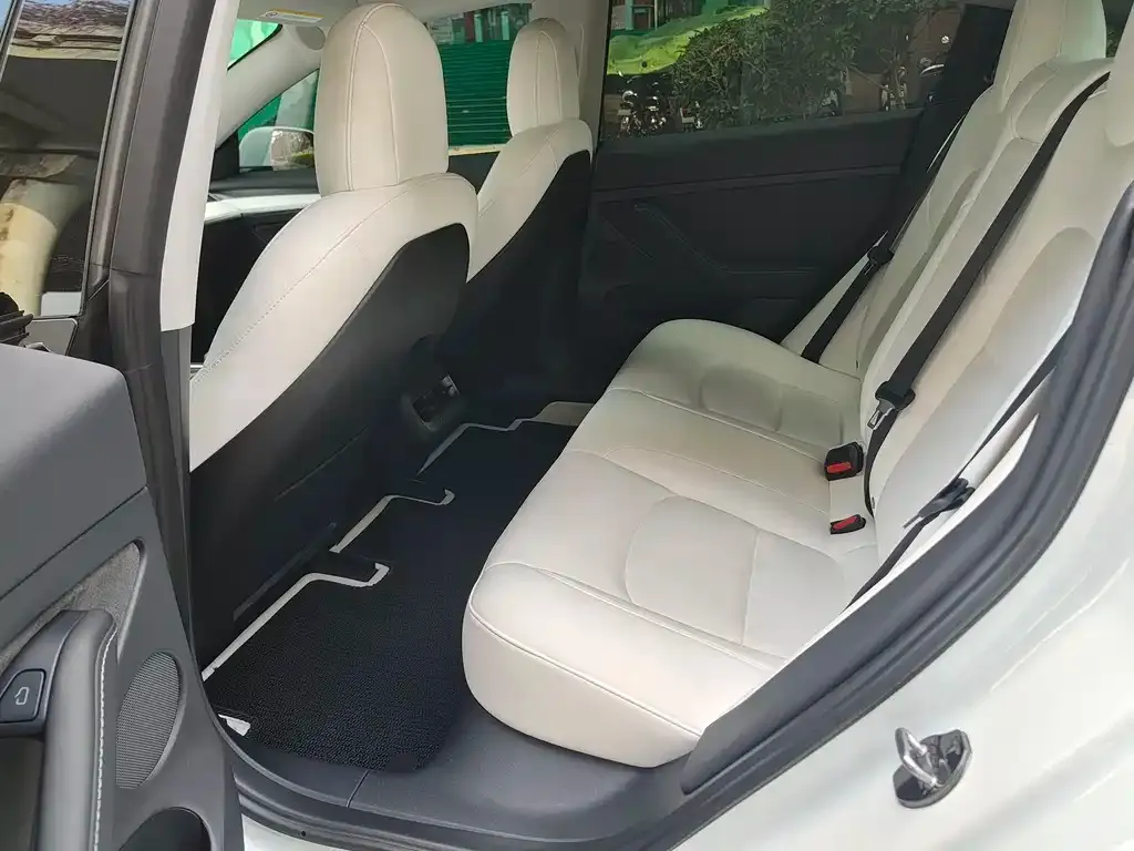 Tesla Model 3 2022 из CN, фото 2