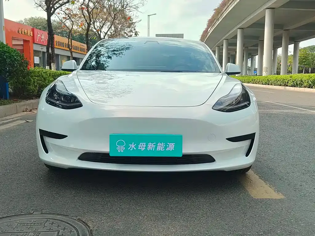 Tesla Model 3 2022 из CN, фото 3