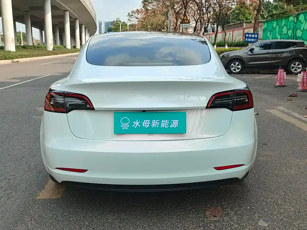 Tesla Model 3 2022 из CN, фото 7