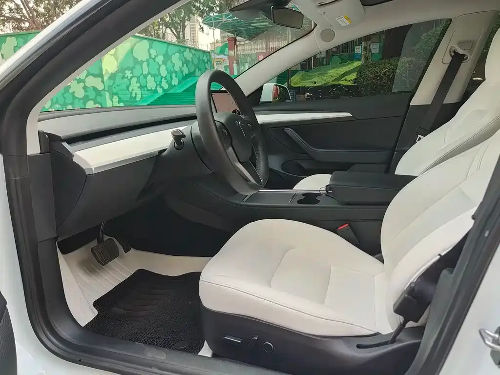 Tesla Model 3 2022 из CN, фото 6