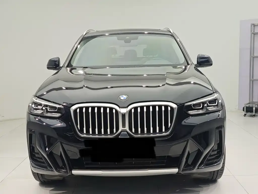 BMW X3 2022 из CN, фото 6