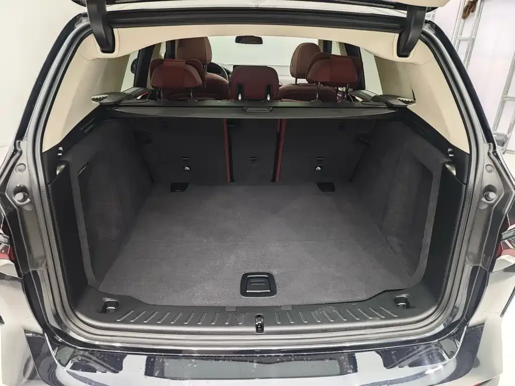 BMW X3 2022 из CN, фото 4