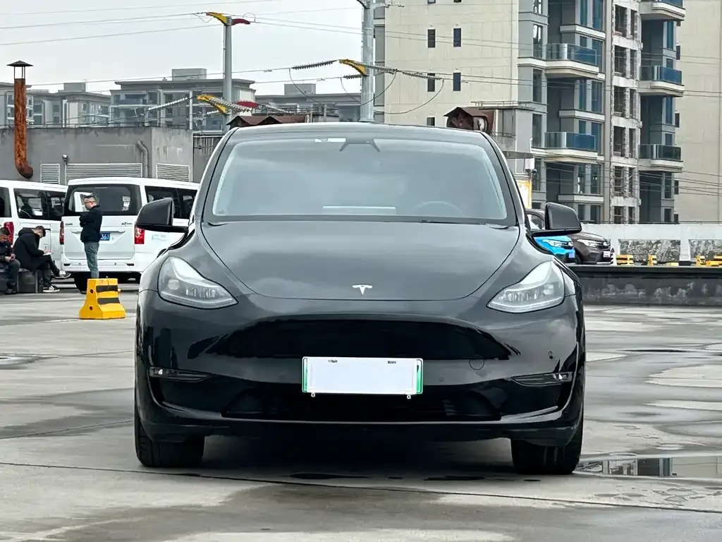 Tesla Model Y — фото 1