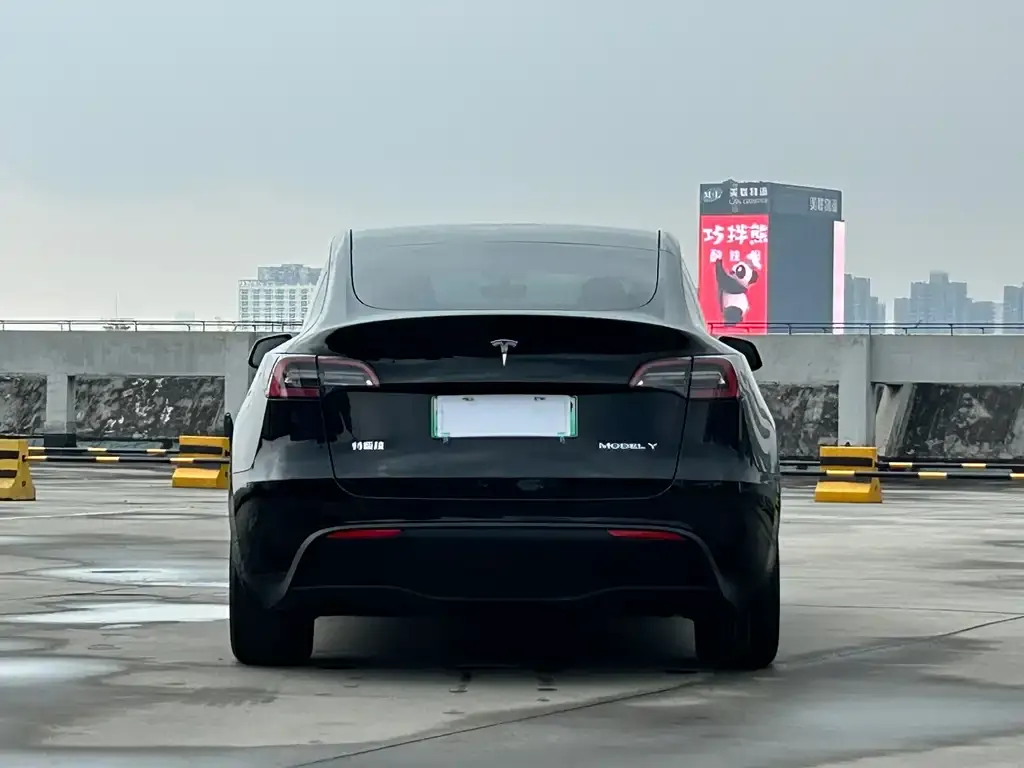 Tesla Model Y — фото 3