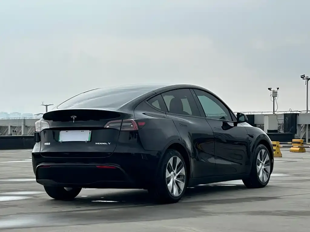 Tesla Model Y — фото 10