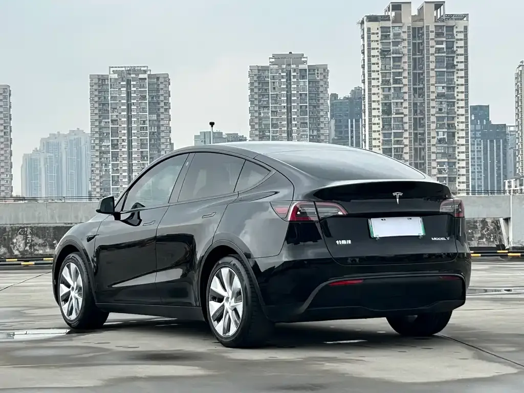 Tesla Model Y — фото 6