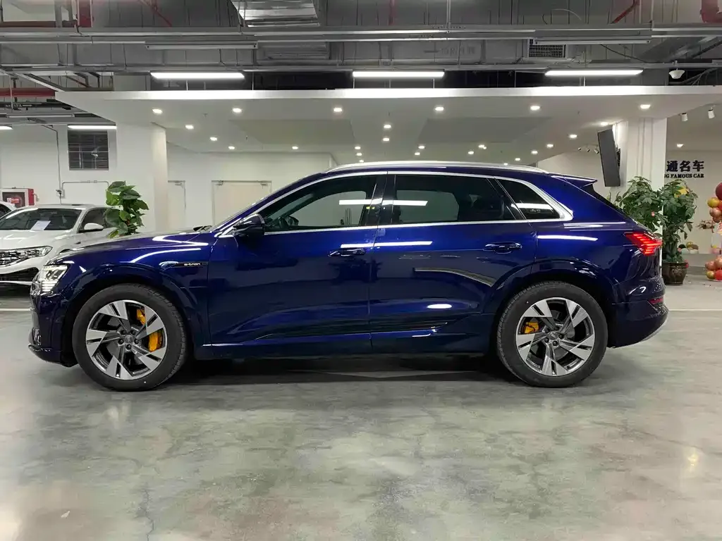 Audi e-tron (Import) 2021 из CN, фото 10