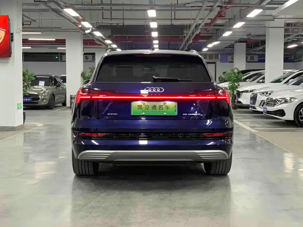 Audi e-tron (Import) 2021 из CN, фото 6