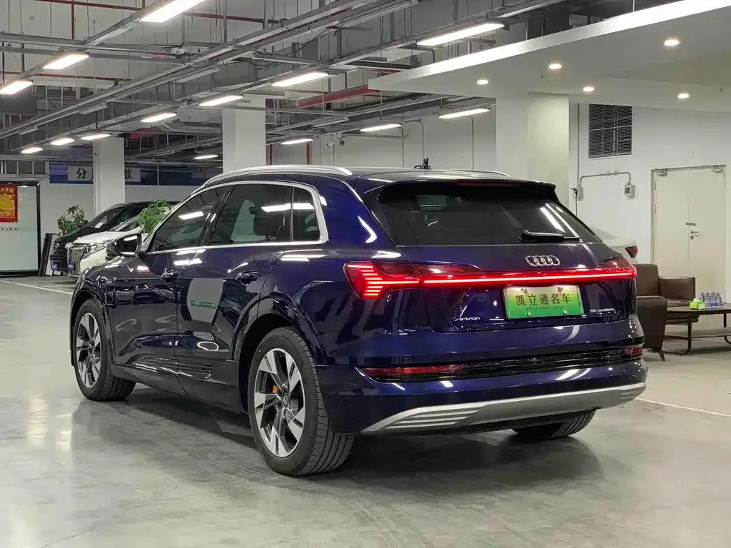 Audi e-tron (Import) 2021 из CN, фото 9