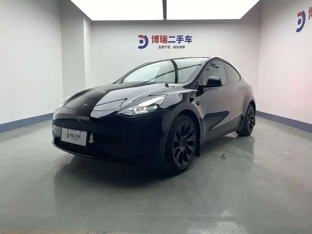 Tesla Model Y — фото 1