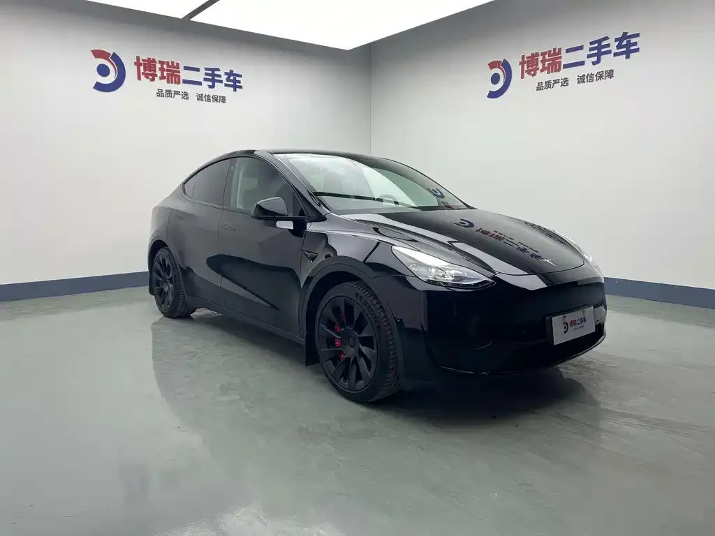 Tesla Model Y — фото 4