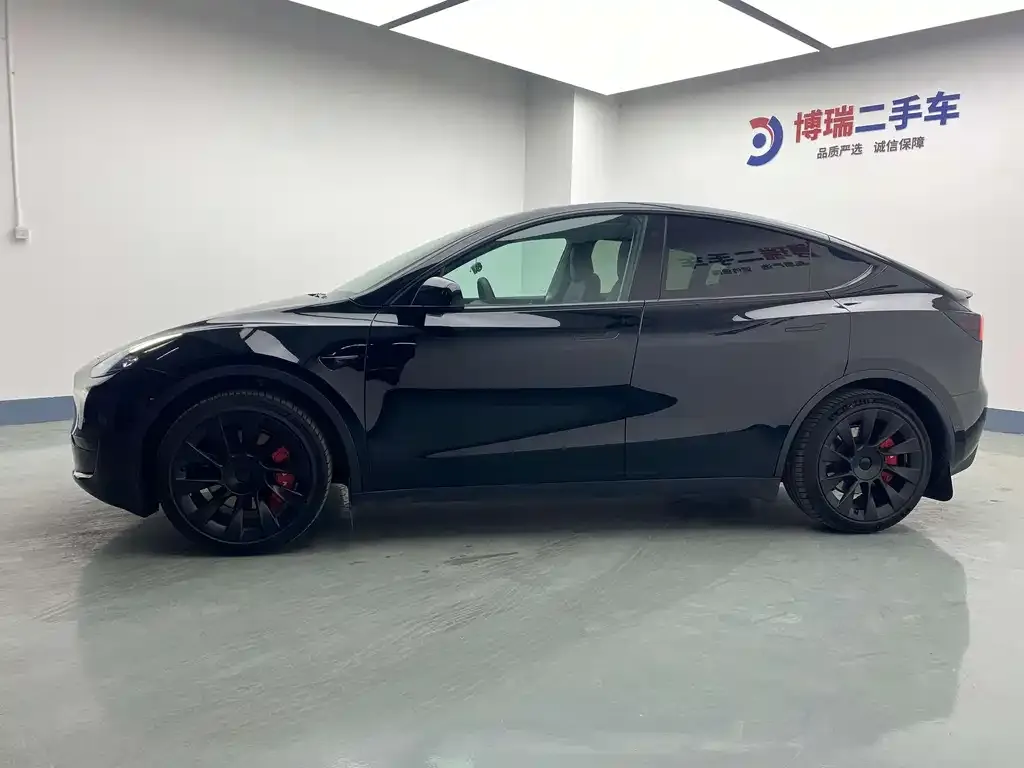Tesla Model Y — фото 9