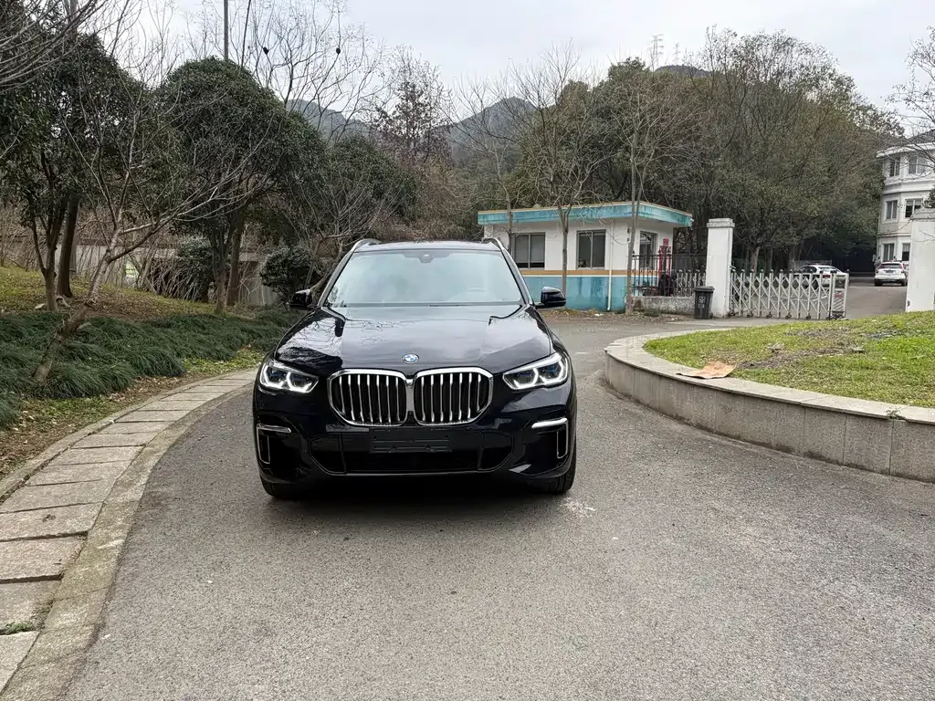 BMW X5 2023 из CN, фото 1