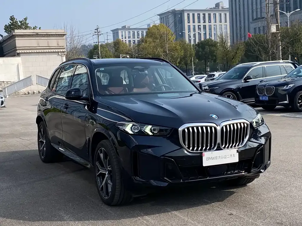 BMW X5 — фото 10