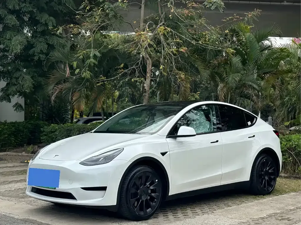 Tesla Model Y 2022 из CN, фото 1