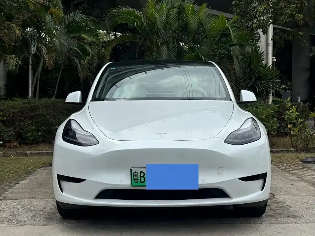 Tesla Model Y 2022 из CN, фото 5