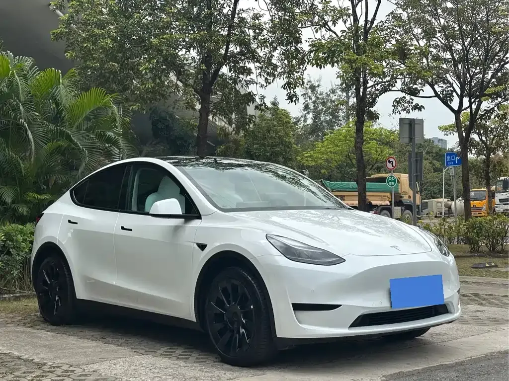 Tesla Model Y 2022 из CN, фото 6