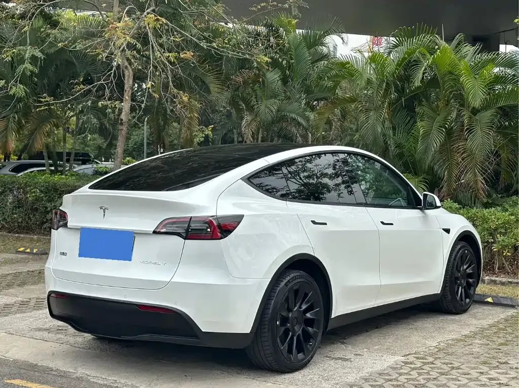 Tesla Model Y 2022 из CN, фото 8