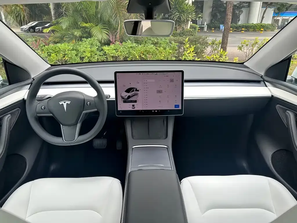 Tesla Model Y 2022 из CN, фото 4
