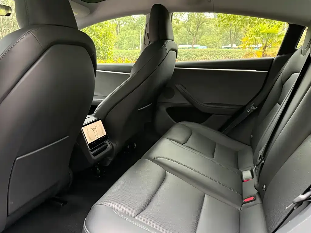 Tesla Model 3 2023 из CN, фото 2
