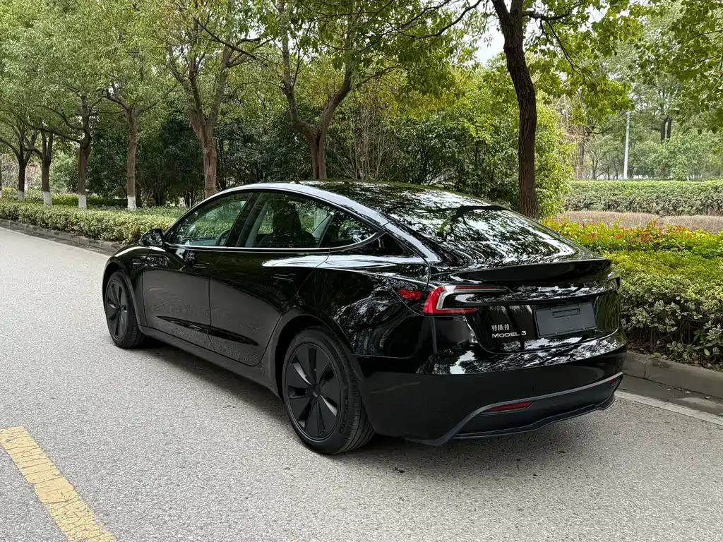 Tesla Model 3 2023 из CN, фото 9