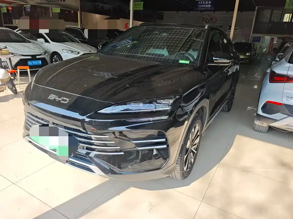 BYD PLUS New Energy 2024 из CN, фото 1