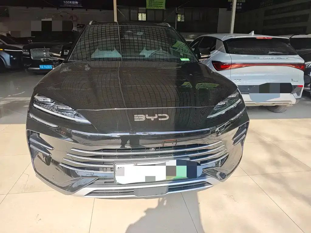 BYD PLUS New Energy 2024 из CN, фото 8