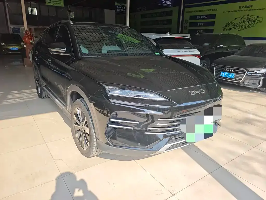 BYD PLUS New Energy 2024 из CN, фото 9